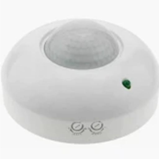 Sensor